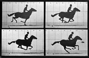Muybridge 2 Muybridge 2