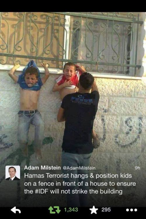 hamas-shields
