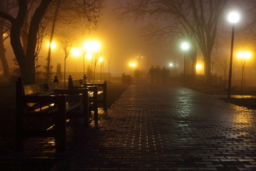 shutterstock_44128114-1024x683